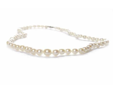 TWENTIETH CENTURY PEARL NECKLACEformed by graduated white spherical pearls, the largest pearl approximately 8mm diameter, the
