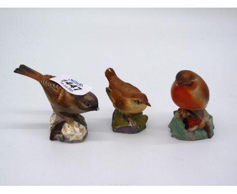 Three Royal Worcester bird ornaments including Robin, Wren and Hedge Sparrow, all a/f.
