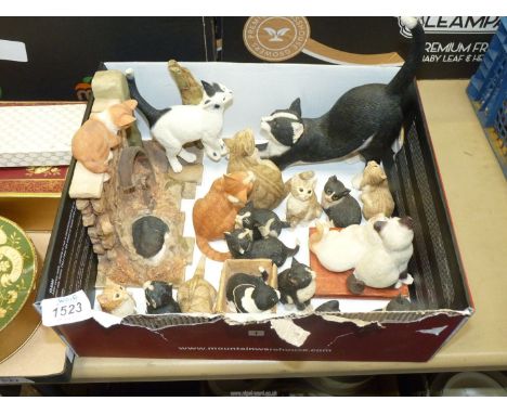 A quantity of cat ornaments including Border Fine Arts kitten in a box, Sherrat &amp; Simpson cats playing on a wall and cat 