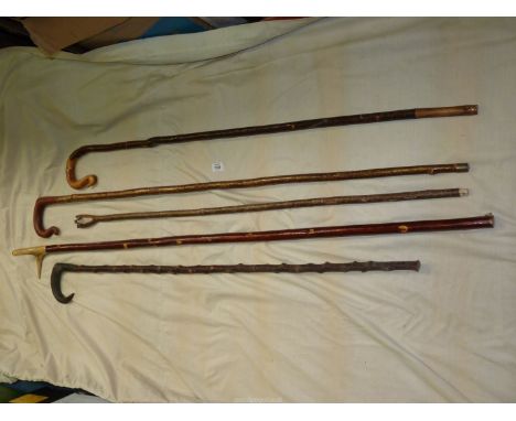 Five walking sticks including antler handled thumb stick, hand carved head of a dog and three shepherd crooks.