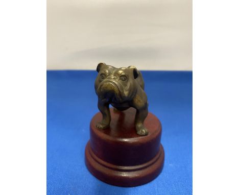 A BRONZE BULL DOG ON WOODEN PLINTH, HEIGHT 11.5CM 