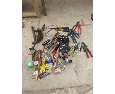 AN ASSORTMENT OF HAND TOOLS TO INCLUDE PLIERS, SPANNERS AND A BRACE DRILL ETC 