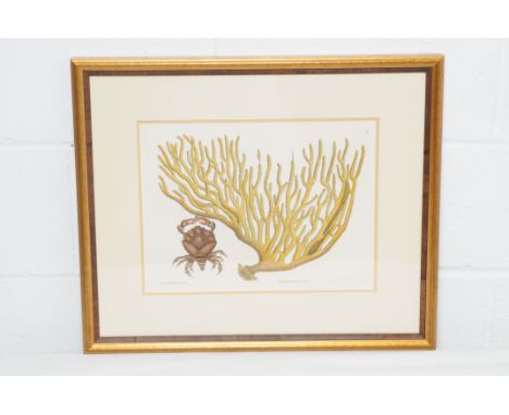 A marine life print. Condition Report: 20% VAT will be charged on the hammer price in addition to our normal commission charg