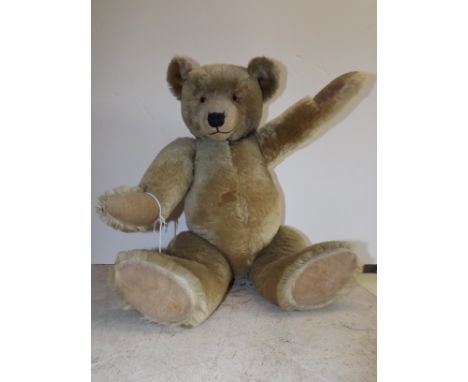 A good large teddy bear (possibly Chiltern) circa 1930s with long plush, reinforced foot pads, cut muzzle, the head wood wool