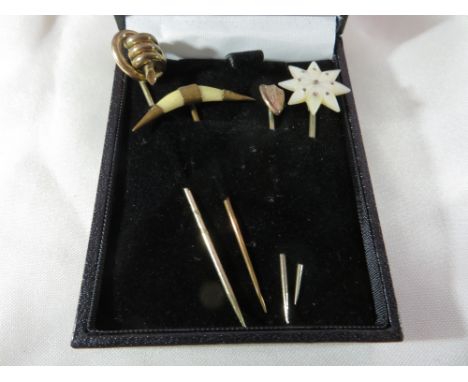 4x Victorian pins - 1x hunting trophy tooth; 1x Mother of Pearl and 2x others.