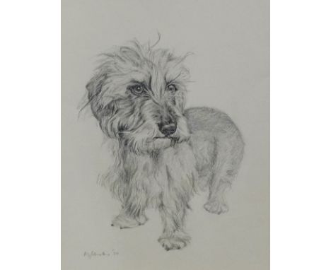 K. Johnstone  'Wire Haired Dachshund'  Pencil Sketch, signed and dated '90, in a glazed frame, 25 x 33cm 