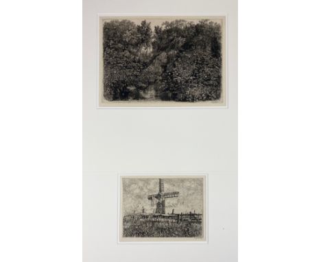 GELDER, Dirk van (1907-1990). ('Bosbeek met schermbloemen'). 1936. Etching. 169 x 240 mm. Signed in pencil. Annotated "D. v. 