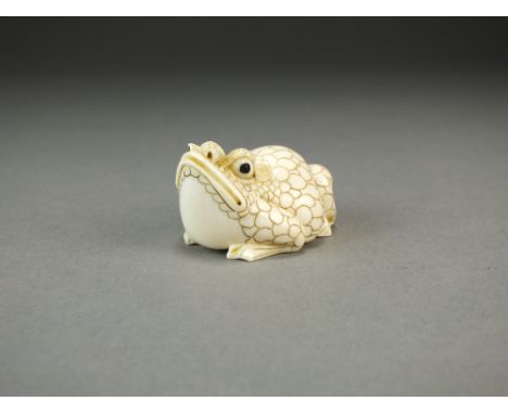 A Japanese ivory netsuke of a frog, Meiji period, naturalistically modelled with head raised, 4cm, signed.