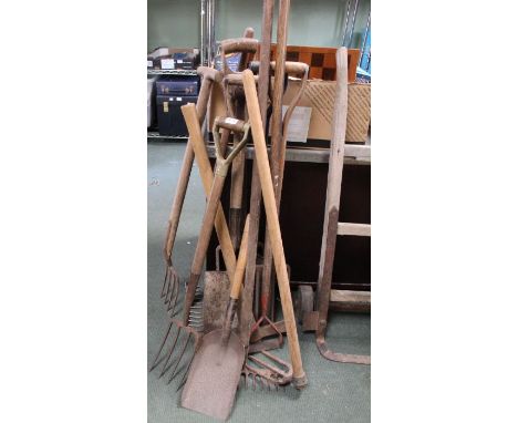 Selection of garden tools, spades, rakes, etc