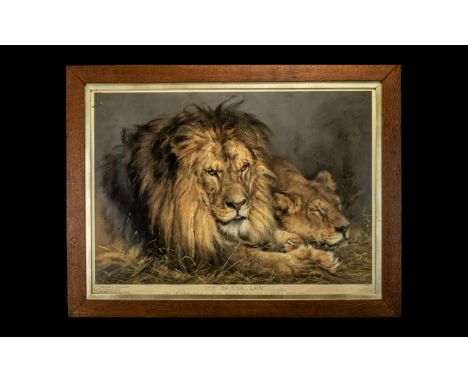 Large Print of British Lions framed and mounted behind glass, depicting a lion and lioness, from original by Vastagh Gezah.  