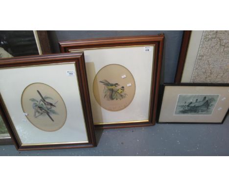 Pair of similar bird studies, coloured prints. Together with a signed etching of Anne Hathaway's cottage, framed and glazed. 