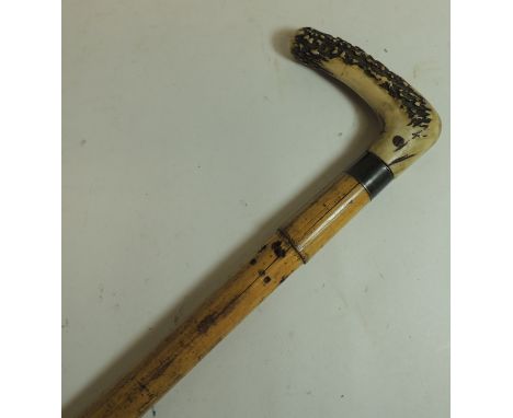 An early 20th Century walking stick/horse measuring stick by T Brigg and Son's London; the bamboo shaft with antler handle an