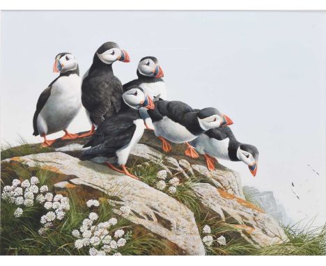 ARR Adrian Rigby (b.1962) A Colony of Puffins on a Rocky Outcrop, signed lower left, gouache, 41 x 54 cm, frame 67 x 80 cmPro