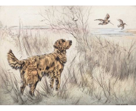ARR Henry Wilkinson (1921-2011) Gun Dog Flushing Snipe, signed lower left, numbered 61/150, hand coloured etching, 25 x 35 cm