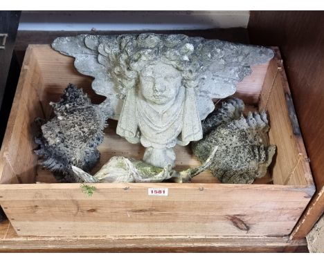 An old weathered composition stone angel corbel,&nbsp;43cm wide; together with two clam shells; and another conch, 36cm wide.