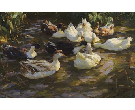 Alexander Koester     1864 Bergneustadt - 1932 München Enten am Teich. 1909. Öl auf Leinwand.  Rechts unten signiert. 54,5 x 