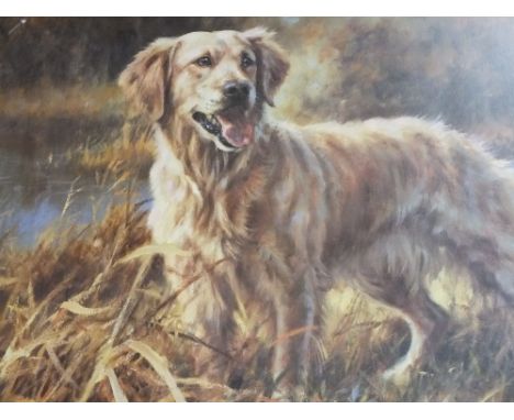 A FRAMED AND GLAZED SIGNED LIMITED EDITION PRINT OF A GOLDEN RETRIEVER