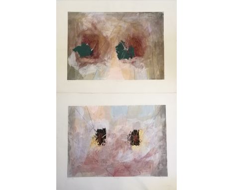 Pair of signed mixed media paintings 'Sensory' on paper - 75cm x 97cm 
