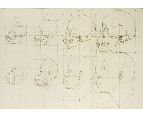 NO RESERVE Camper (Petrus) Dissertation Physique...sur les différences réelles que présentent les traits du visage chez les h