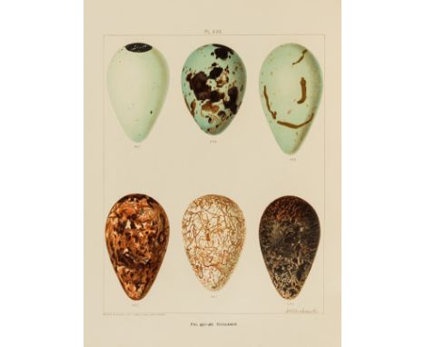 Birds.- Butler (Arthur G.) British Birds with Their Nests and Eggs, 6 vol., 24 chromolithograph plates, bookplates to pastedo