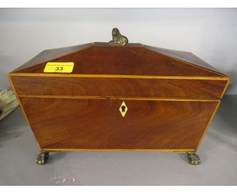 A Regency mahogany tea caddy having a lion shaped finial, ivory escutcheon and standing on ball and claw feet, 8 3/4" h x 11"