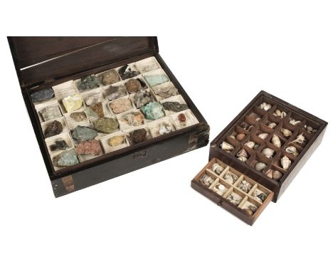 * Minerals &amp; Shells. An old collection presented in two boxes, comprising mahogany box, probably late Victorian with two 