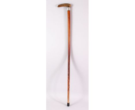 A LATE 19TH CENTURY RHINO HANDLED WALKING STICK, with engraved silver collar, 84cm long.