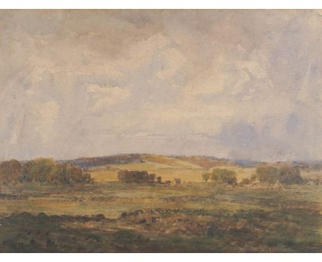 R*** BENTLEY HAMLYNAn extensive landscape indistinctly signed (lower right) watercolour 27.5 x 36.5cm  Provenance Private col