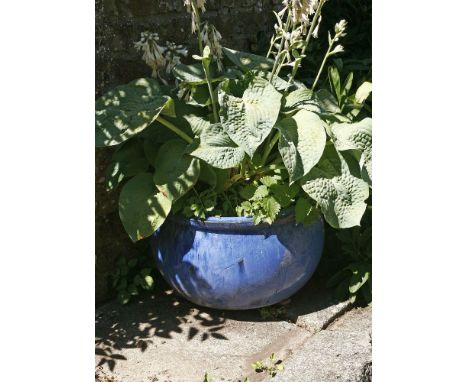 A glazed pottery planter, planted with a large hosta, planter 50cm diameter, together with two modern glazed pottery planters