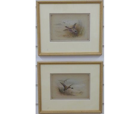 James Stinton (Royal Worcester artist) pair of watercolours of ducks tacking off and landing, 13 x 19cm
