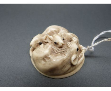 Japanese Meiji period carved ivory netsuke in the form of a nest of three rats with glass eyes, signed to base, 44mm in diame