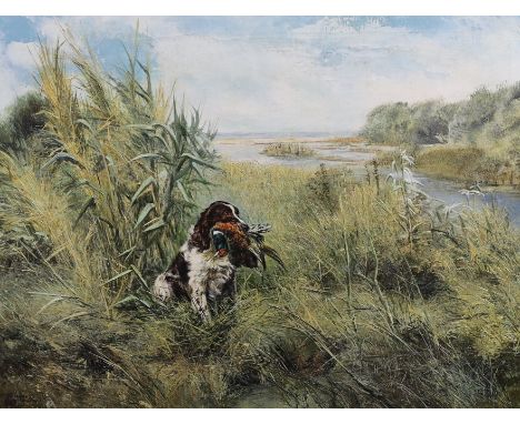 § § Henry Wilkinson (English, 1921-2011) 'Springer retrieving'oil on canvassigned50 x 64cm***CONDITION REPORT***Fair untouche