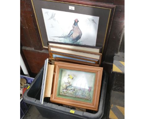 Box of pictures and prints, game birds, salmon and trout fishing scenes, hunting and shooting interest etc 