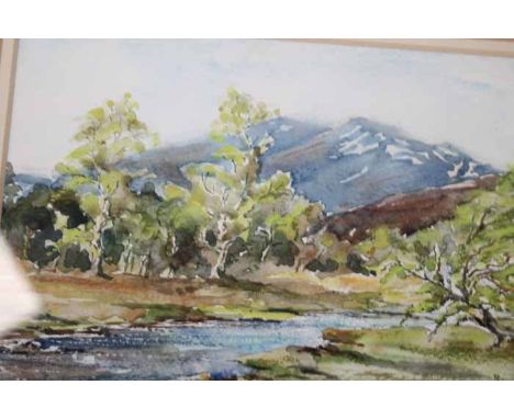 R M LAMING (CONTEMPORARY SCOTTISH SCHOOL),
MOUNTAIN RIVER SCENE
watercolour on paper, signed
image 17cm high x 21.5cm wide
Mo