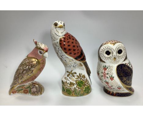 Three Royal Crown Derby paperweights, 'Old Imari Owl', limited edition 54/300, 'Cockatoo', limited edition 1036/2500 and 'Kes