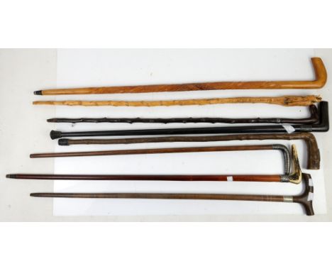 Early 20th century stacked leather walking stick with silver plated engraved collar together with seven other sticks includin