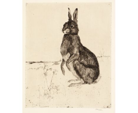 Margaret M. Rudge (1885-1972)'Hare', pencil signed to the margin, etching, 21.5 x 17.5cm, together with 'Squirrel' by the sam