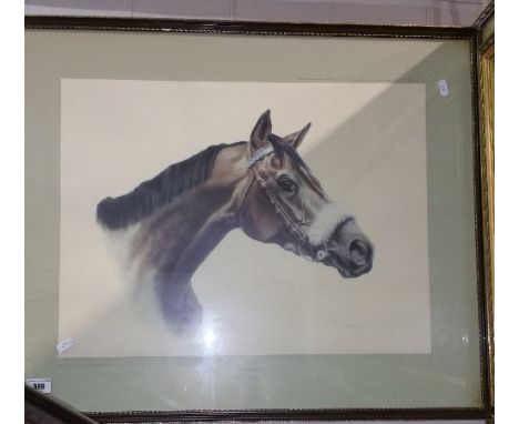 A Signed Coloured Print of Pawneese.