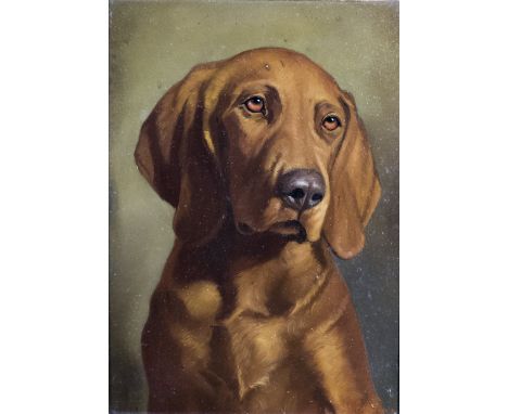 GUSTAVE LORINCZ (1855-1931) Austrian, Portrait of a Retriever, oil on board, old typed label to verso, framed