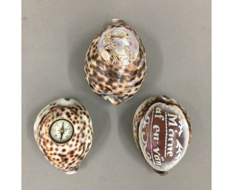 A 19th century cowrie shell snuff box, a cowrie shell set with a compass and a cowrie shell cameo