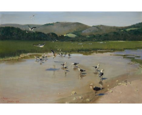 Terence Cuneo CVO OBE RGI, British 1907-1996 - Gulls on Leisure Isle Knysna South Africa, 1972; oil on canvas, signed and dat