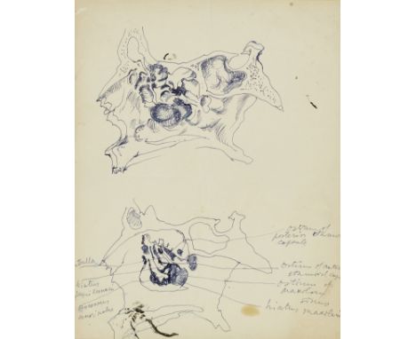 Pavel Tchelitchew, American/Russian 1898-1957 - Studies of Bones; pen and blue ink on paper, 28 x 21.3 cmProvenance:the Estat