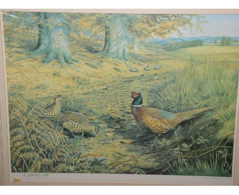 Extremeley large framed signed C.S. Todd 1973 print of pheasants and game birds in landscape scene