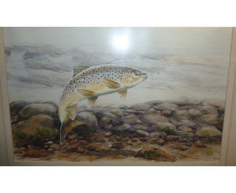 Framed print depicting leaping salmon