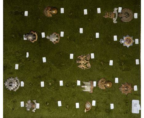Mounted display of 13 British Military cap badges including enamel Royal Army Service Core, Cambridgeshire Regiment etc.