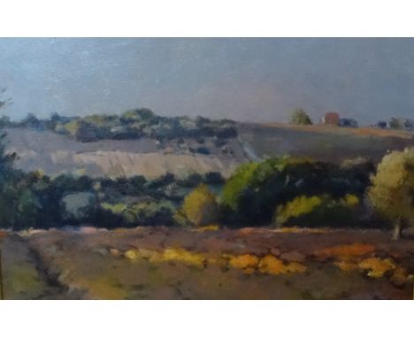 Pier Luigi Baffoni ROI, 'Evening Light, Umbria, Italy 1995', oil on board, signed to bottom right corner (29cm x 44cm) in a c