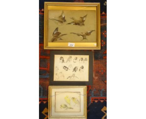 Attributed to Charles Henry Clifford Baldwyn (1859-1943), 'Sparrows Flying', pen and watercolour on paper, text verso reading
