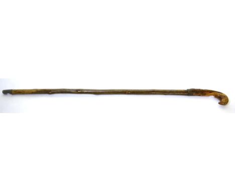 A Late 19th Century Sword Stick, with 72 cm part-fullered blade, brass-banded thorn handle and conforming haft with metal tip