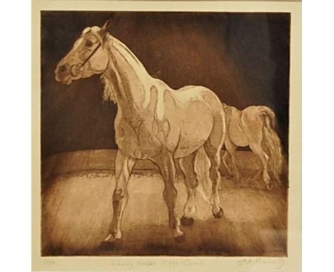 Elizabeth Moriarty - Liberty Horses, Zippo's Circus, etching, signed, titled and numbered 2/50 in pencil to the margin, 20 x 