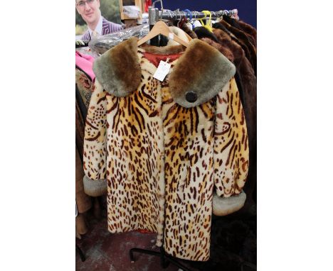 A 1950s leopard print beaver lamb exclusive by Royal Castor, weatherproof with large shawl collar, matching turned cuffs and 